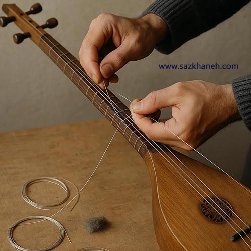 تعمیرات تار و سه تار در شهریار